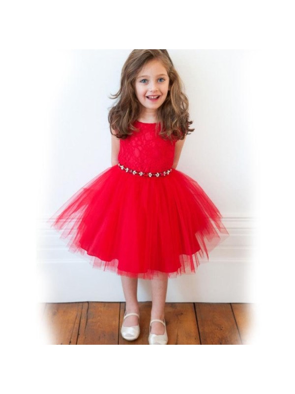 The new lace pattern princess dress kids party dre...